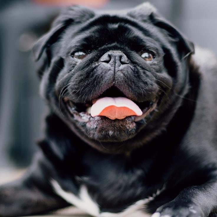 Kaveri Mehta, Lead Design Curator at Gentle Grove Campus, reviewing corporate floral arrangements